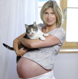 Die Schwangerschaft gemeinsam erleben - Über den Kontakt mit Katzenkot können Toxoplasmose-Erreger übertragen werden. Schwangere sollten vorsichtig sein. 