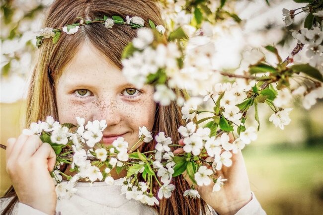 Die Siegerbilder der Frühlingsrunde: Erwachende Natur inspiriert Fotofreunde - 