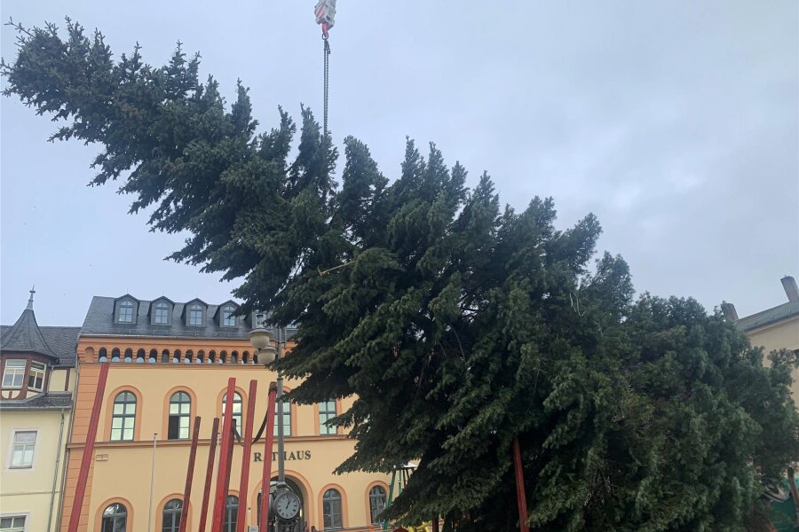Die Stadt Reichenbach erhält diese Woche ihren Weihnachtsschmuck - In dieser Woche werden in Reichenbach die Weihnachtsbäume aufgestellt.