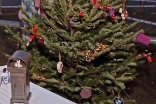 Diebe stehlen Schmuck und Lichterkette von Weihnachtsbaum - 