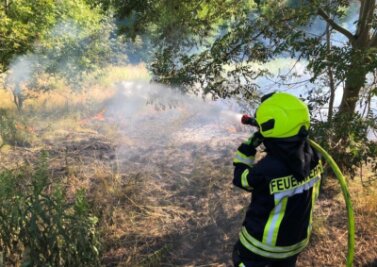 "Diese Hitze war und ist auch für uns nicht normal" - Die Feuerwehrleute mussten erst kürzlich einen Waldbrand am Kranzberg in Werdau löschen.
