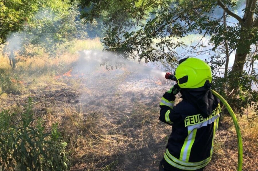 Die Feuerwehrleute mussten erst kürzlich einen Waldbrand am Kranzberg in Werdau löschen.