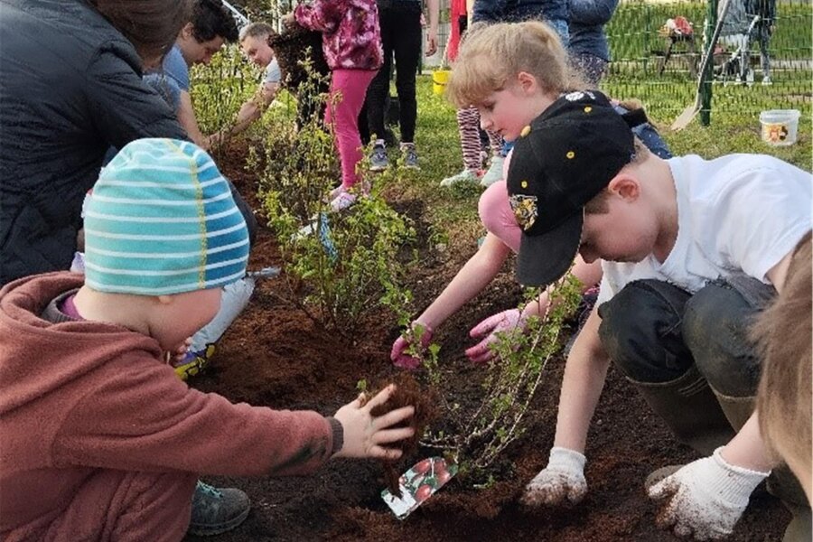 Diese Jugend von heute: Heinsdorfer Kinder pflanzen Bäume und sammeln Müll - 42 Sträucher, zehn Bäume und 20 Erdbeerpflanzen entlang des Heinsdorfer Radwegs - die Kids können stolz sein.
