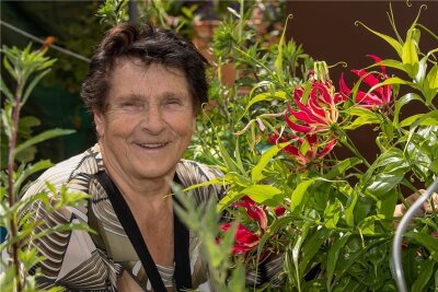 Dieser Garten ist berühmt - nicht nur wegen einer exotischen Kletterpflanze - Edda Beier Garten Exoten: Ruhmeskrone