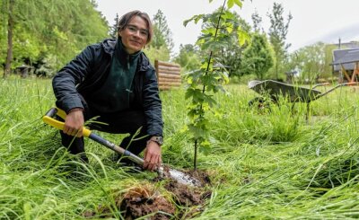 Dieser junge Mann findet seine Berufung im vogtländischen Wald - Vincent List hat einen Ahorn-Baum gepflanzt. Das Freiwillige Ökologische Jahr in Eich hat ihm dabei geholfen, einen Beruf zu finden, den er einmal erlernen möchte. 