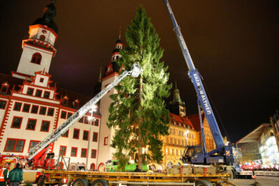 Diesjähriger Weihnachtsbaum hält Rekord - Am späten Samstagnachmittag ist auf dem Chemnitzer Markt der Weihnachtsbaum für die kommende Adventszeit aufgestellt worden.