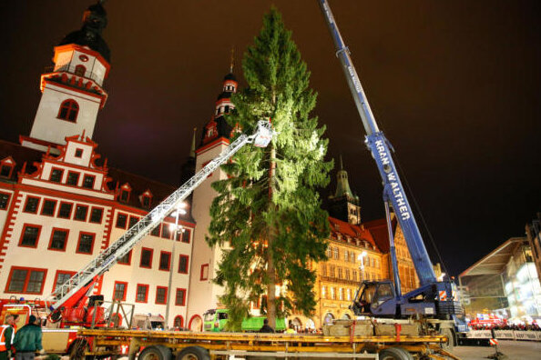 Diesjähriger Weihnachtsbaum hält Rekord - Am späten Samstagnachmittag ist auf dem Chemnitzer Markt der Weihnachtsbaum für die kommende Adventszeit aufgestellt worden.
