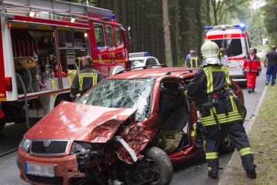 Dörfel: Skoda-Fahrer nach Unfall in Fahrzeug eingeklemmt - Der Skoda Fabia kam von der Fahrbahn ab und prallte gegen ein Baum. Die Feuerwehr musste den Fahrer aus seinem Auto herausschneiden.