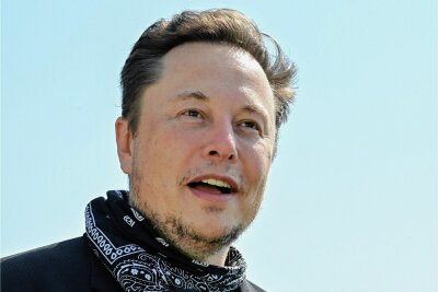 Donald Trump lässt Musk zappeln - Elon Musk - Twitter-Besitzer