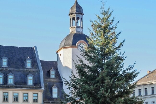 Douglasie ziert den Glauchauer Markt - Am Dienstagmorgen gegen 9 Uhr stand der diesjährige Weihnachtsbaum auf dem Glauchauer Markt.