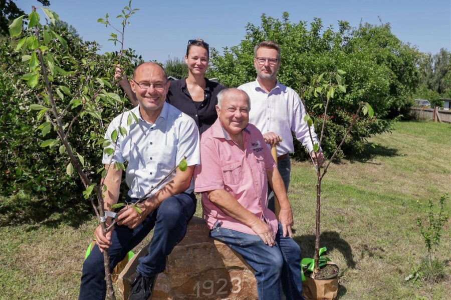 Drei Bäume zum Vereinsjubiläum in Waldenburg - Bürgermeister Jörg Götze, Saskia Mohr, Vereinschef Peter Stölzel und Stadtrat Ingo Heinig (von links).