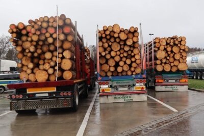 Drei Holztransporter wegen starker Überladung gestoppt - 