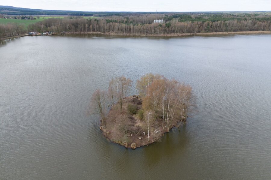 Drei Millionen Euro für naturschutzgerechte Teichwirtschaft - Bäume wachsen auf einer Insel im Großteich See (Aufnahme mit einer Drohne).
