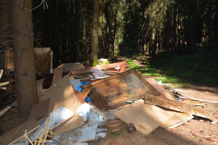 Dreiste Müllentsorgung im Erzgebirgswald - Im Waldteil "Wieden" liegt in beträchtlichem Umfang Müll und Unrat, vermutlich aus einer Wohnungsauflösung. 