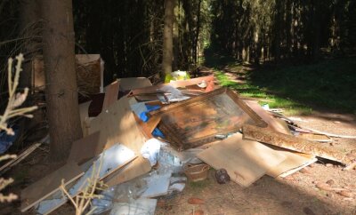 Dreiste Müllentsorgung im Erzgebirgswald - Im Waldteil "Wieden" liegt in beträchtlichem Umfang Müll und Unrat, vermutlich aus einer Wohnungsauflösung. 