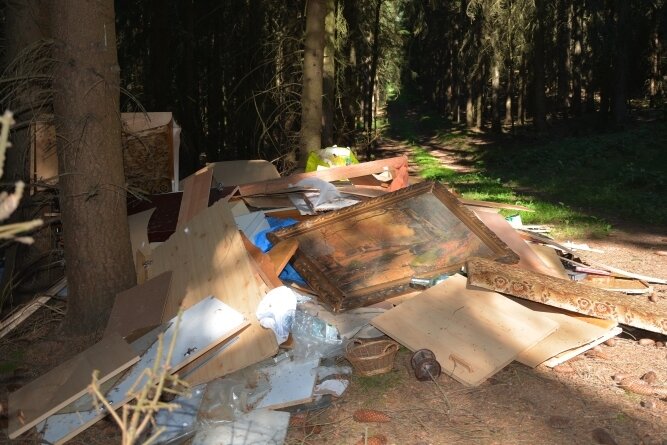 Im Waldteil "Wieden" liegt in beträchtlichem Umfang Müll und Unrat, vermutlich aus einer Wohnungsauflösung. 