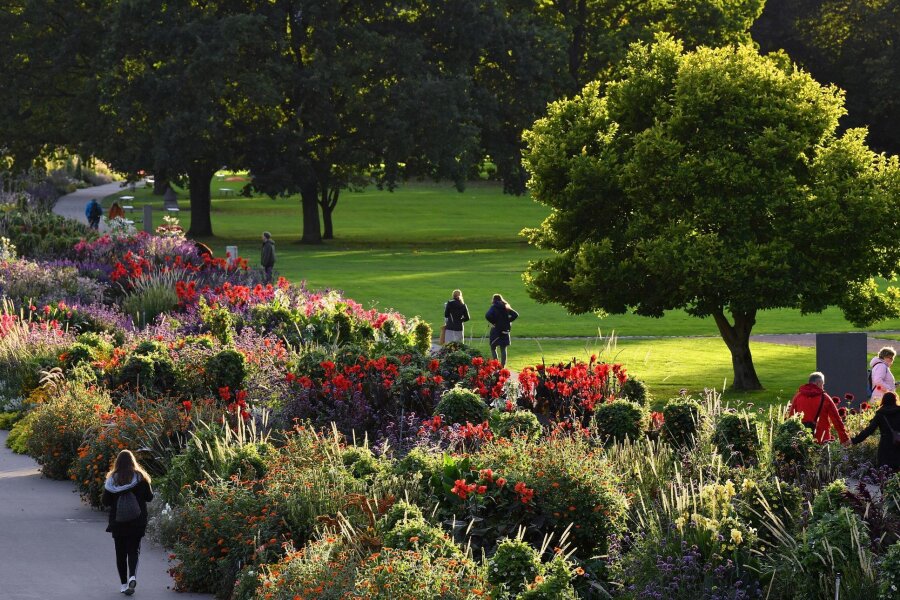 Dresden will Bundesgartenschau 2033 ausrichten - Blumen blühen im Großen Blumenbeet auf dem Gelände der Bundesgartenschau 2021 in Erfurt.