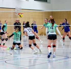 Dritte Niederlage für CVV - Vergeblich gekämpft: Die Volleyballerinnen des Chemnitzer VV unterlagen am Samstag dem SV Plauen-Oberlosa mit 1:3. 