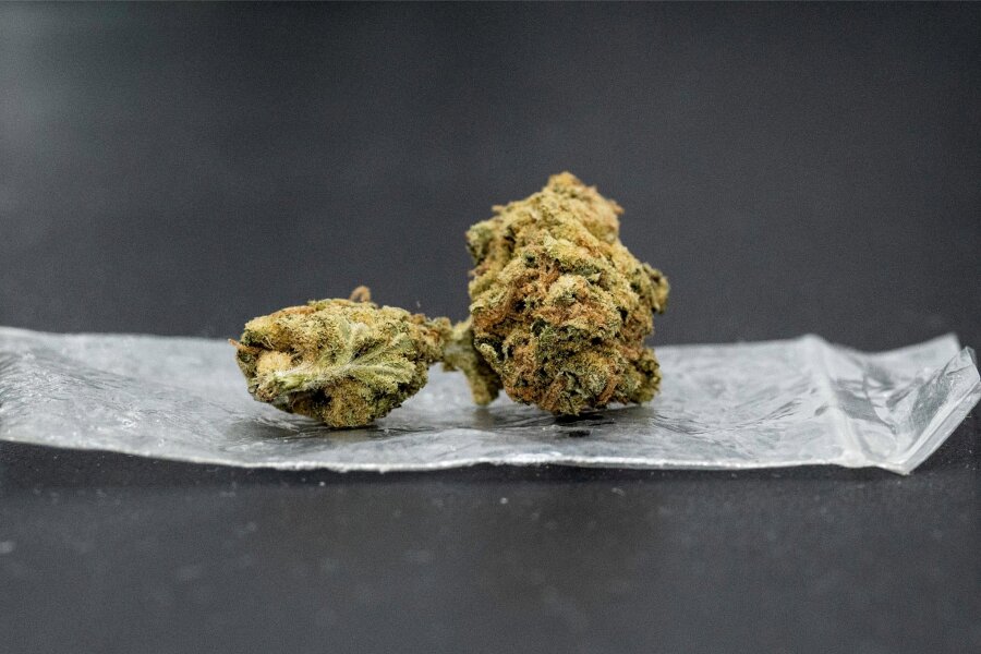 Drogenfunde in einem Gewächshaus und in einer Wohnung - Eine Cannabisblüte liegt auf einem Plastikbeutel.