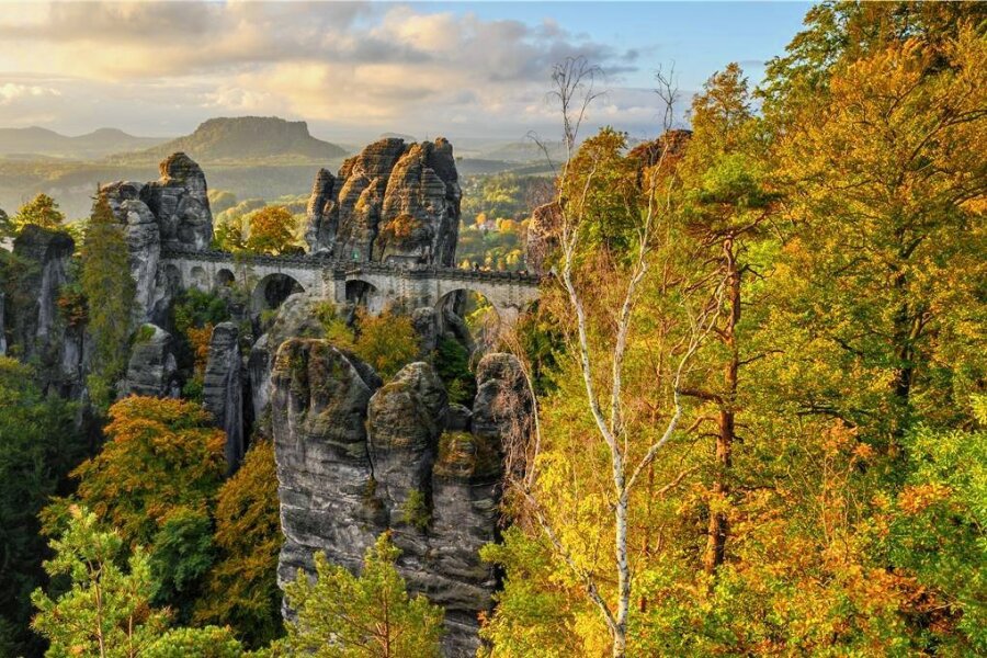 Droht dem Nationalpark Sächsische Schweiz die Verödung? - Das Nationalpark Sächsische Schweiz lockt viele Erholung Suchende an, doch der Klimawandel setzt diesem Naturparadies zu. 
