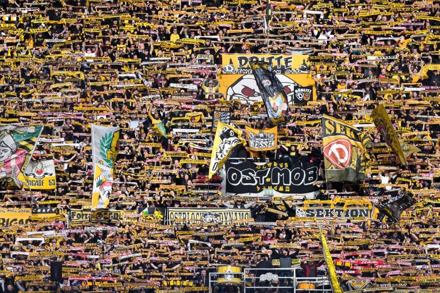 Dynamo-Coach Anfang vor dem Sachsenderby: "Grundsätzlich gehe ich nie davon aus zu verlieren" - Gelb-schwarze Wand: Die Fans der SG Dynamo Dresden