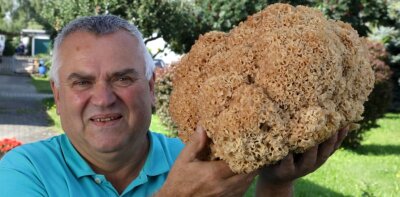 Echt fette Henne im Wald entdeckt - Diese 3,4 Kilogramm schwere Krause Glucke hat der Oberlungwitzer Bernd Rößler gefunden. 