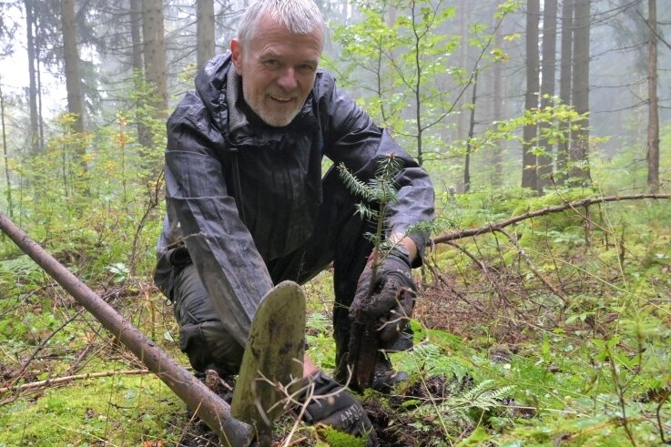 Ehrenamtliche Trupps schuften für den Schwarzstorch - Bernhard Heeren aus Fürth packt als Teilnehmer eines Bergwaldprojektes im Eibenstocker Forst beim Pflanzen mit an. Der 66-jährige Kinderarzt hat dafür eine Woche Urlaub genommen. 