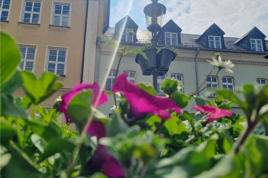 Ehrenfriedersdorf blüht in diesem Jahr besonders auf - Ein echter Hingucker. Neben  großen Pflanzkübeln wurden auch Blumenampeln an den Laternen angebracht. 