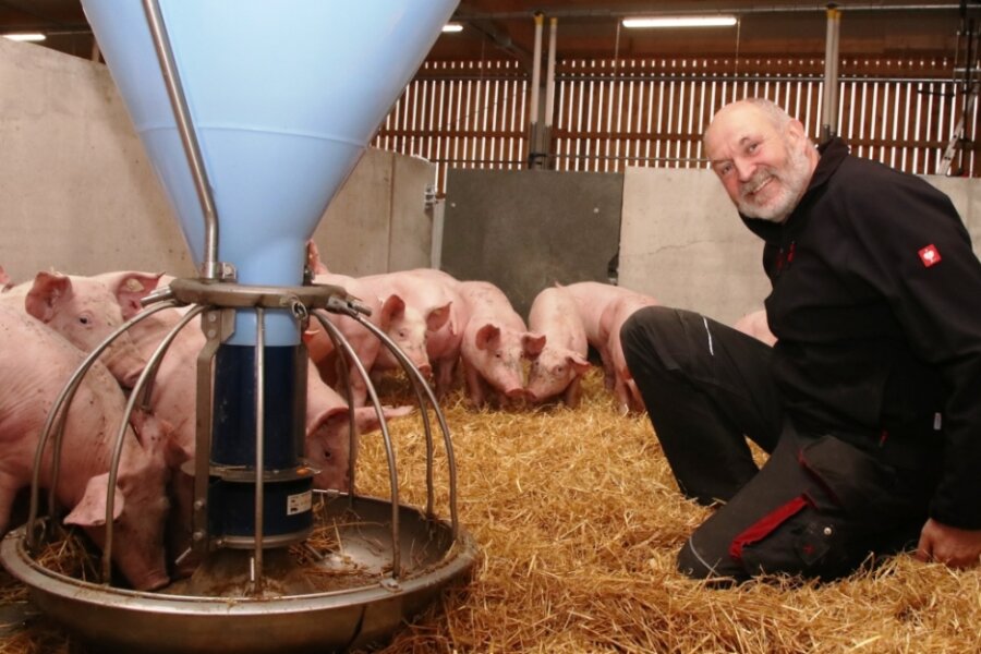Udo Weymann und sein Team von der Agrargenossenschaft Theuma-Neuensalz setzen auf viel Tierwohl, haben unter anderem in einen neuen Schweinestall investiert.