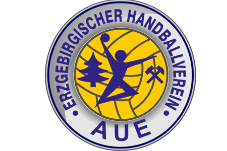 EHV Aue unterliegt bei HSG Nordhorn-Lingen - 