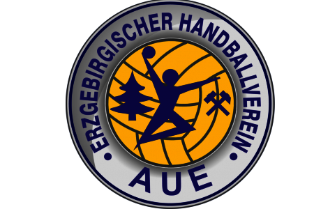 EHV Aue verliert das Sachsenderby in Dresden deutlich - 