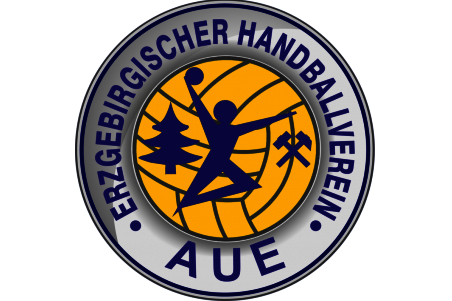 EHV Aue verliert nach selbstbewusstem Auftritt in Hamburg