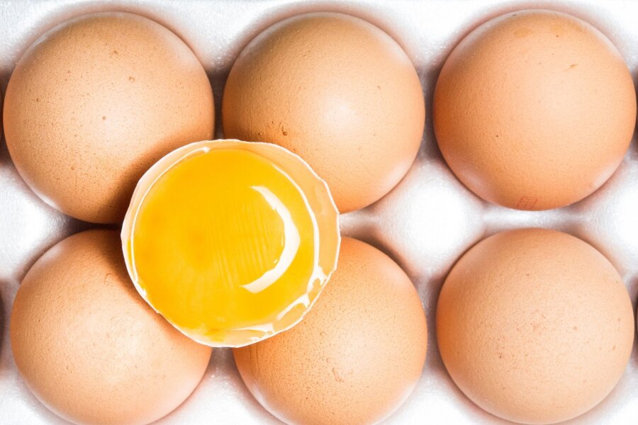 Eier im Öko-Test: 5 mal Bestnote, sonst Abzüge beim Tierwohl - Fünf Eier-Marken erfüllten die "Öko-Test"-Kriterien am besten und erreichten das Prädikat "sehr gut". (zu dpa: "Eier im Öko-Test: 5 mal Bestnote, sonst Abzüge beim Tierwohl")