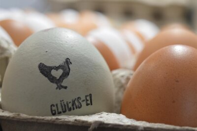 Eier, Likör und Nudeln: Frisches vom Bauernhof Zeidelweide kommt nach Rodewisch - Eier von glücklichen Hühnern gibt es jetzt jeden ersten Samstag im Monat in Rodewischs City zu kaufen.
