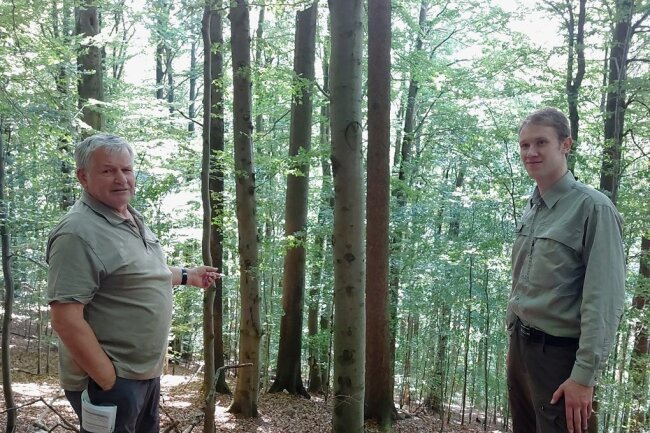 Hans Prilop (rechts) und Andreas Henke vom Sachsenforst im Revier Erlbach, zu dem auch der einzigartige Buchenbestand im Landesgemeindetal gehört - ein Areal, das übrigens nicht bewirtschaftet wird. 