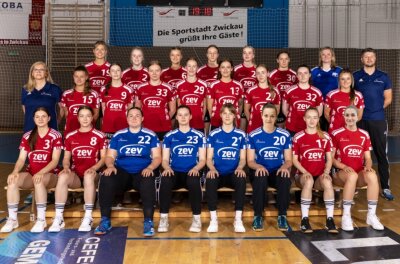 Ein Aufsteiger mit Ambitionen - Ambitionierter Aufsteiger: Das Juniorteam des BSV Sachsen Zwickau will in der am Wochenende beginnenden Saison der Handball-Oberliga eine gute Rolle spielen. 