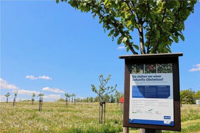 Ein Erfolgsprojekt: Zukunfts-Obstwiese statt Tagebau in Kloschwitz - Blick auf die frühlingshafte Streuobstwiese der Bürgerinitiative für den Schutz der Natur und von Gold- bis Rosenbach.