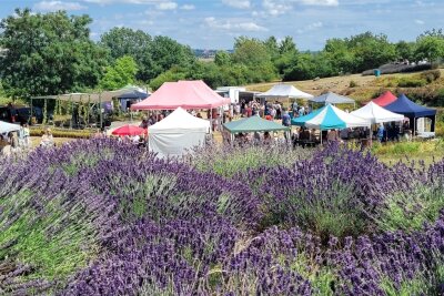 Ein Hauch der Provence im Zwickauer Erlebnisgarten - Das Lavendelblütenfest zog am Sonntag mehr als 1000 Besucher in den Erlebnisgarten.