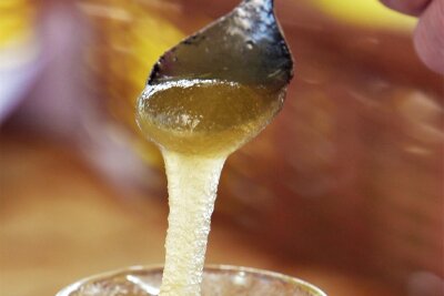 Ein Honigbrötchen zum Sonntagsfrühstück? Auf dem Naturmarkt Tharandt gibt es den goldenen Saft frisch vom Erzeuger - Wenn der Honig mit Kristallen durchsetzt ist, fühlt sich das wie Sand auf der Zunge an. F