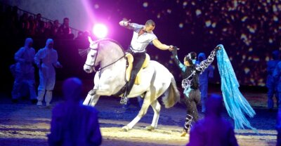 Ein richtiger Schlingel - Höhepunkt des Reitwochenendes in der Chemnitz-Arena dürfte die Nacht der Pferde werden. / Nacht der Pferde