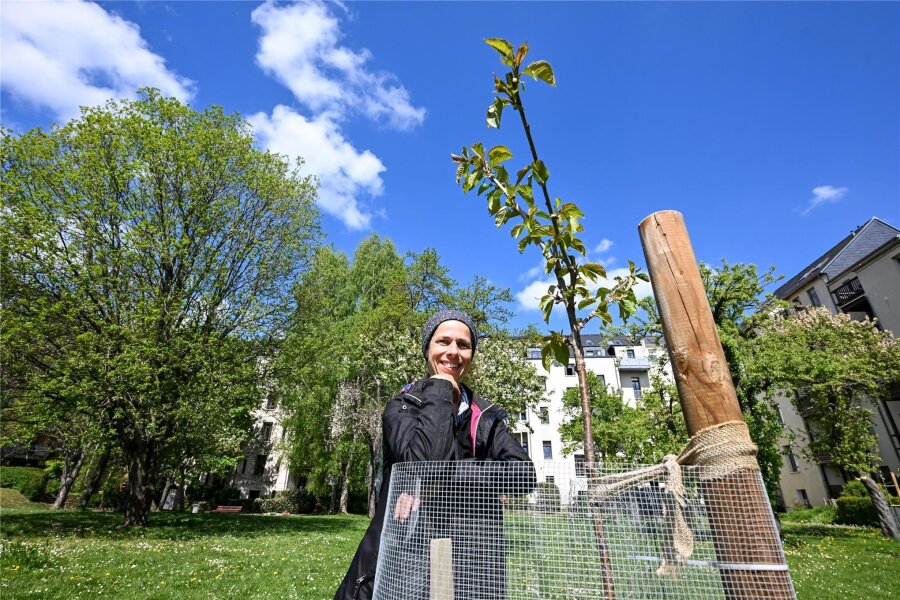 Eine Chemnitzer Opernsängerin und ihr Herz für Bäume - Elžběta Laabs auf der Streuobstwiese an der Further Straße. Dort konnte sie auch drei neue Bäume pflanzen.