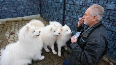 Eine Hunderasse für viel Tohuwabohu - Wolfgang Berger aus dem Lichtentanner Ortsteil Stenn mit den Hunden Baron, Xenia und Destiny. 
