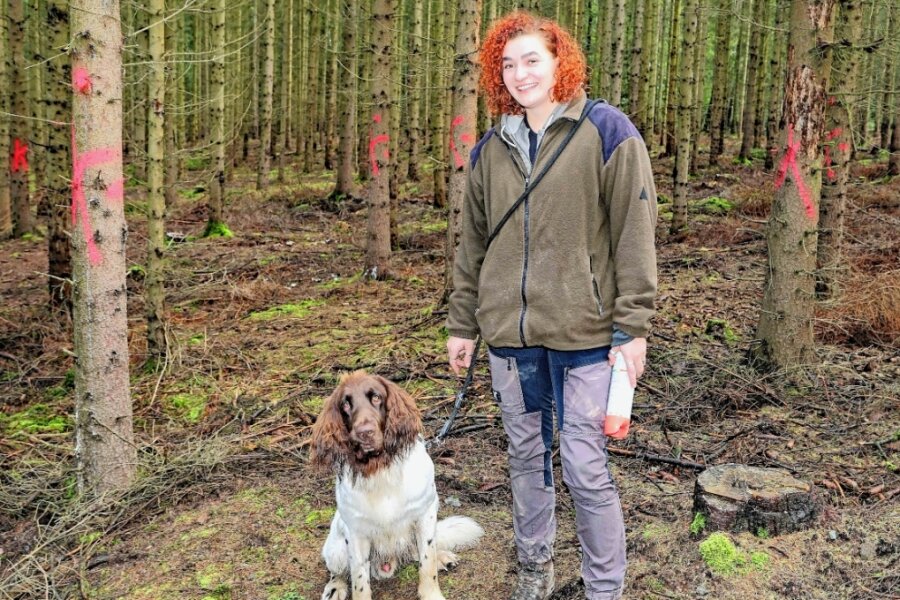 Maria Bischoff und ihr Hund Chester laufen auch den Abschnitt oberhalb des Leubnitzweges im Werdauer Wald regelmäßig ab und kontrollieren die Bäume auf Borkenkäferbefall. 