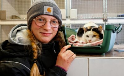 Eine Katze aus dem Motorraum und Hundetraining für die Armee - Die 17-jährige Luise Kühne aus Limbach-Oberfrohna, die im Tierheim Langenberg ein Freiwilliges Ökologisches Jahr absolviert, mit der Katze, die aus dem Motorraum eines Autos befreit wurde. 