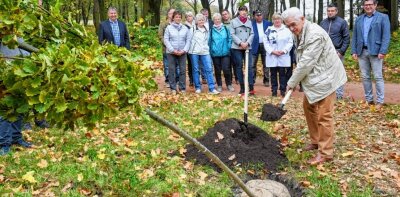 Eine Stieleiche für jeden Ehrenbürger - Für jeden der fünf Ehrenbürger der Stadt Burgstädt ist ein Baum gepflanzt worden, hier Norbert Linke, der ehemalige Chef des Krankenhauses und Stadtrat. Der 80-Jährige erhielt vor drei Jahren die Würdigung. 