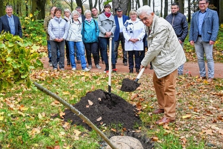 Eine Stieleiche für jeden Ehrenbürger - Für jeden der fünf Ehrenbürger der Stadt Burgstädt ist ein Baum gepflanzt worden, hier Norbert Linke, der ehemalige Chef des Krankenhauses und Stadtrat. Der 80-Jährige erhielt vor drei Jahren die Würdigung. 