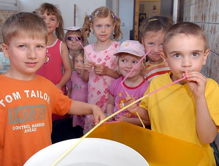 Eine Wasserleitung aus Strohhalmen - 
              <p class="artikelinhalt">Zu den jungen Forschern im Mittweidaer "Regenbogen"-Kindergarten gehört auch die Gruppe "Krümel-Monster", die sich mit dem Wassertransport über Strohhalm-Leitungen beschäftigt hat. </p>
            