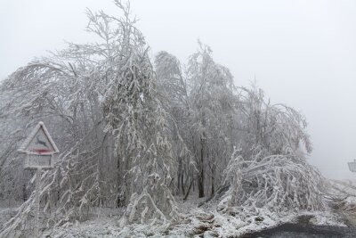 Eis lässt Bäume im Erzgebirge brechen - 