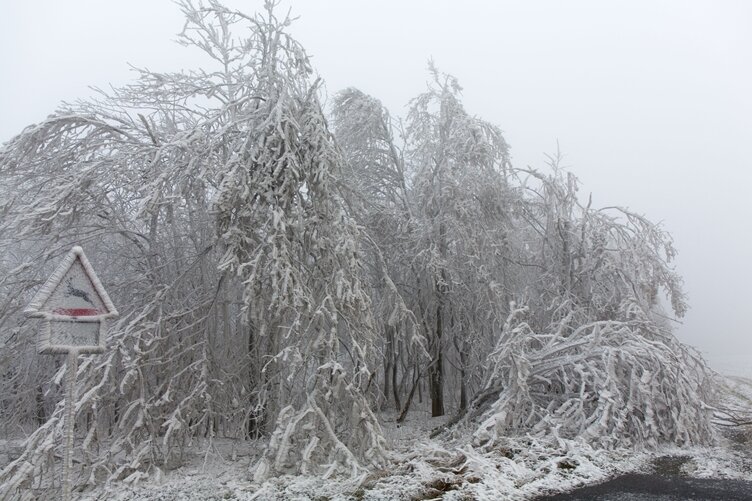 Eis lässt Bäume im Erzgebirge brechen - 