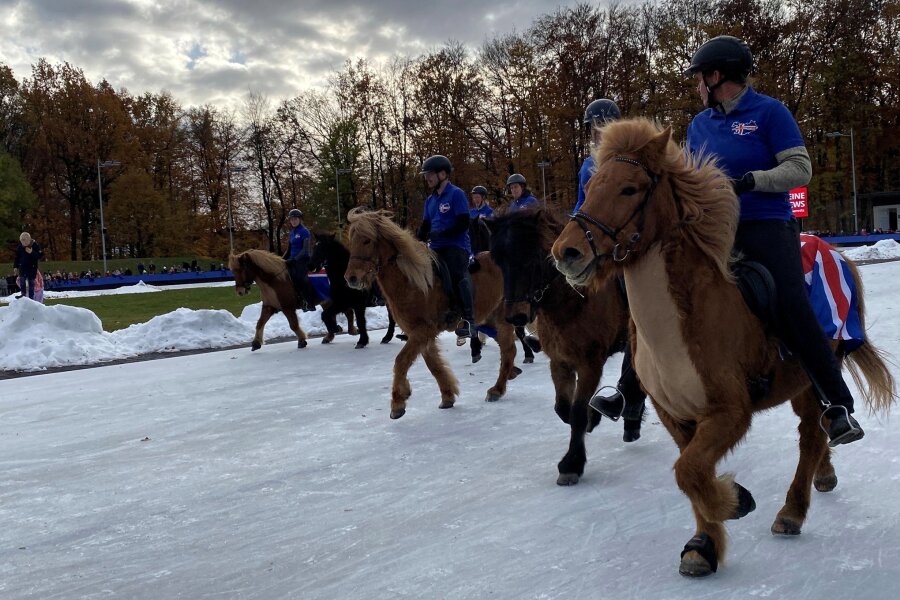 Eisreiten beim Winterfest in Chemnitz: Was die Pferde mit Fußballern verbindet - Beim Eisreiten flitzen die Islandpferde im Tölt, ihrer besonderen Gangart, über das Eis.